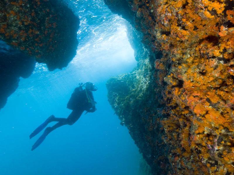 Ortigia L'Antico Dammuso Lägenhet Syrakusa Exteriör bild